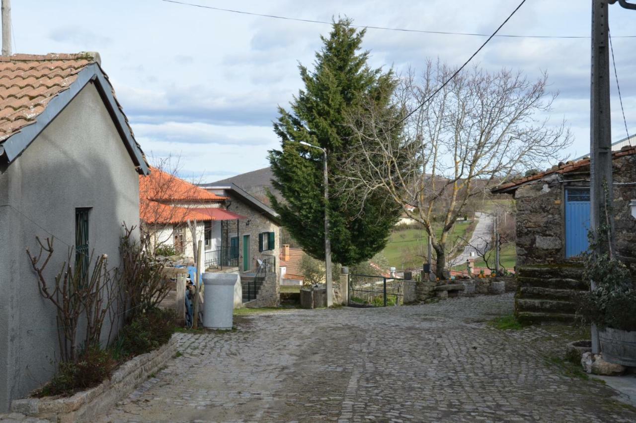 Вілла Casa Freixedelo Santa Comba de Rossas Екстер'єр фото